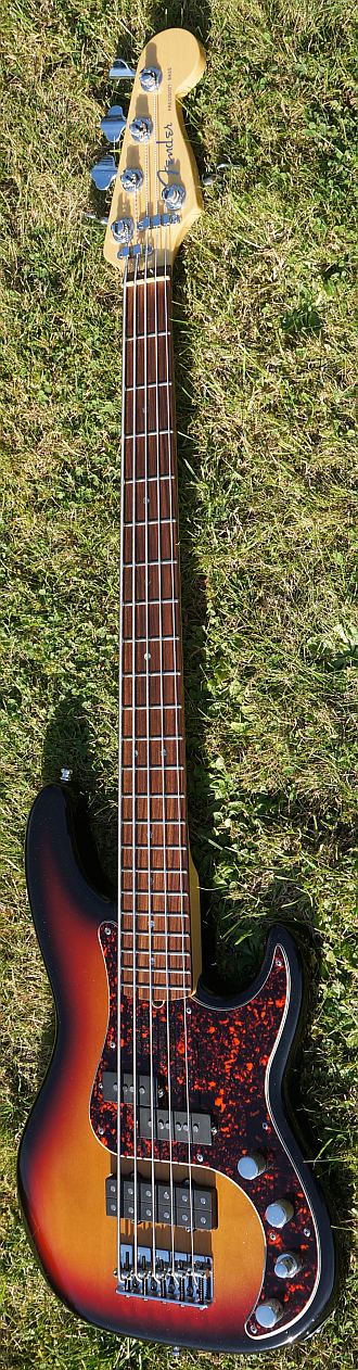 Fender AM P Deluxe